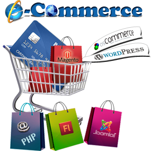 Creating an Ecommerce Website